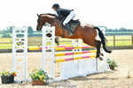 Cls 3 Foxhunter portfolio