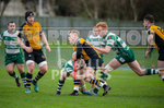 Guernsey Raiders v Hertford-3