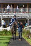 141023-Race 5-Certain Lad-1377