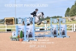 BPP_6341
