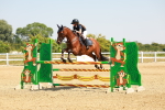SBM_001686