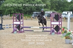 BPP_9908
