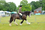 SBM_00867