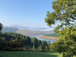 Misty Morning