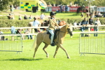 SBM_39112