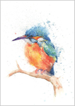 Limited print of KINGFISHER WATCHING watercolour 312