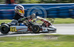 Karting_11-05-2014-99