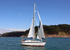 140729 SCOT FREE GBR1443T WT7A1829