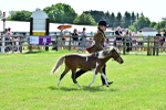 SBM_03650