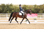 SBM_016935