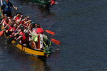 THE YORK ROTARY DRAGON BOAT CHALLENGE 2026 - 225 of 426