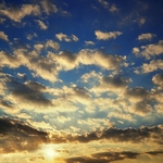 Sky19
