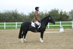 LAD_3507