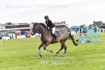 BPP_8641