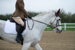 SBM_003458