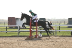 SBM_003350