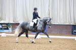 SBM_002693