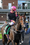 Race 6 4.51pm Join Racing TV Today Fillies' Handicap portfolio
