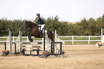 SBM_03602