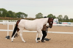 SBM_16491