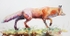 WCW10192 " Hunting for Lunch"