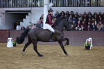 SBM_003225