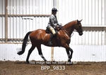 BPP_9833