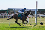 Race 3 15.10pm racingtv.com/freetrial Nursery Handicap portfolio