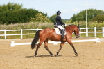 SBM_007655