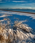 Central Beach - January
