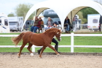 SBM_05849
