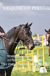 BPP_6328