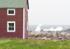 STAGE & ICE BERG - FOGO ISLAND