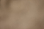 20260913-0420
