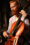 FOLK N BLUES-492