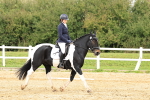 SBM_003555