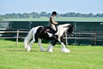 SBM_12122