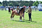 SBM_05824