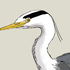Heron