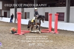 BPP_3017