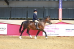 SBM_17687