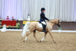 SBM_004319