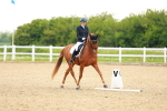 SBM_006272