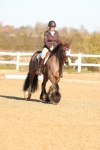SBM_003486