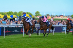 Race 2 portfolio