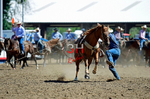 3HRodeo8-11-25_PRCASteer_01202_