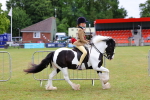 SBM_02627