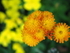 P61804190799