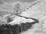 Lake District Path