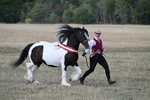 WJ7_8435